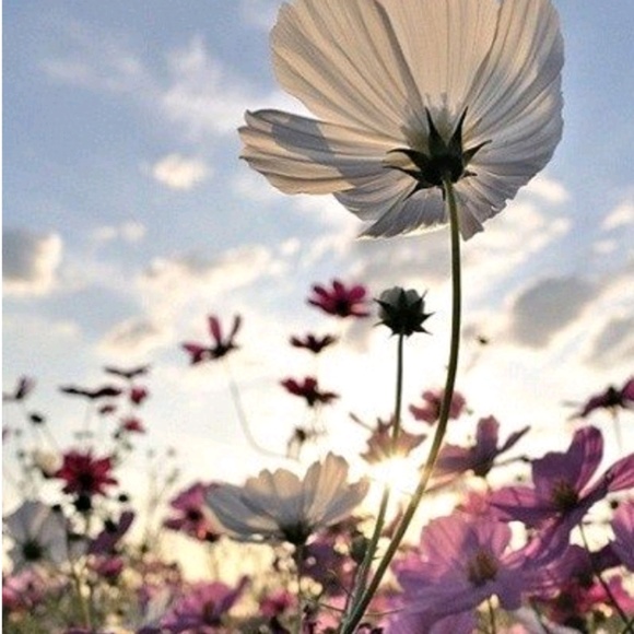 Meet your Posher, ThriftyMaster - Picture 1 of 1